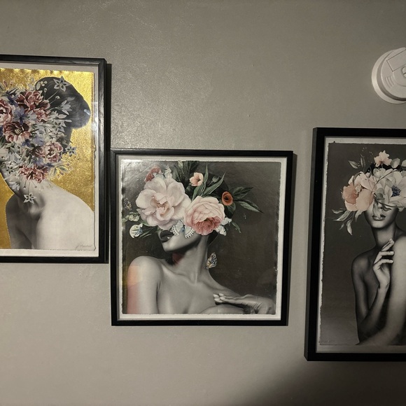 3 Marmont shadowboxes - Picture 4 of 5